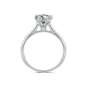 Anillo de compromiso en plata corazón de pasión - anillo matrimonio